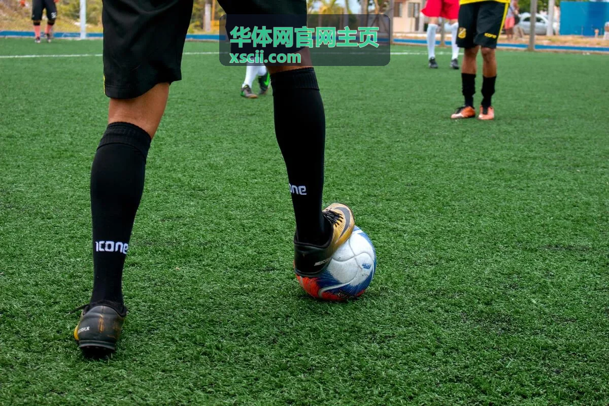华体网官网主页观赛指南问答：朋友结伴观赛的入场与集合安排